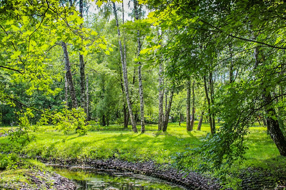 Начало лета