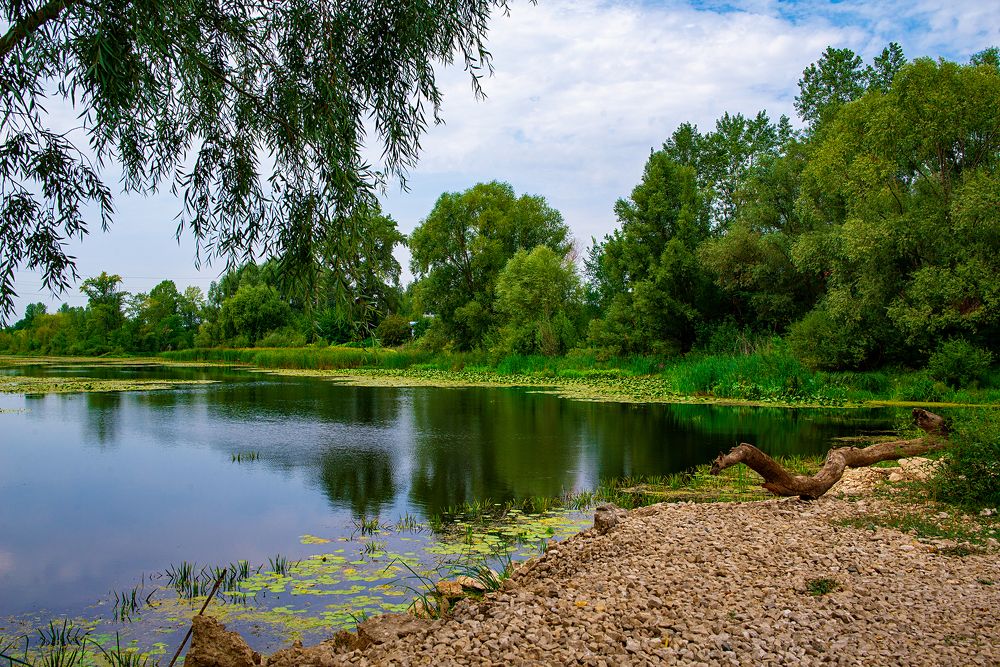 Photograph by Нелли Дзюба