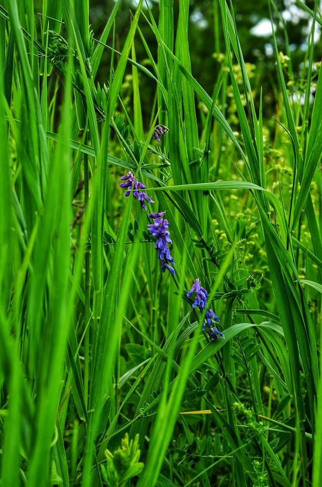 Photograph by Максим Солдатенко