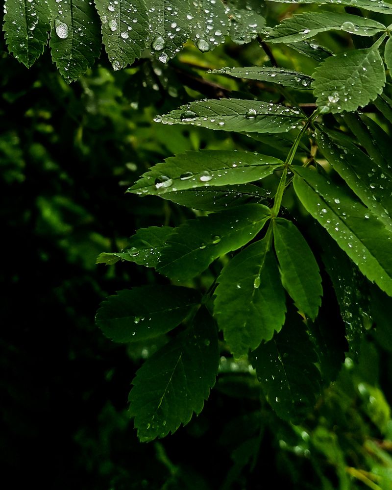 Photograph by Oxana Kostsova