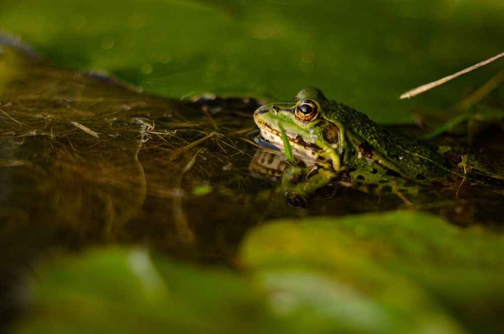 Photograph by Татьяна Бегун