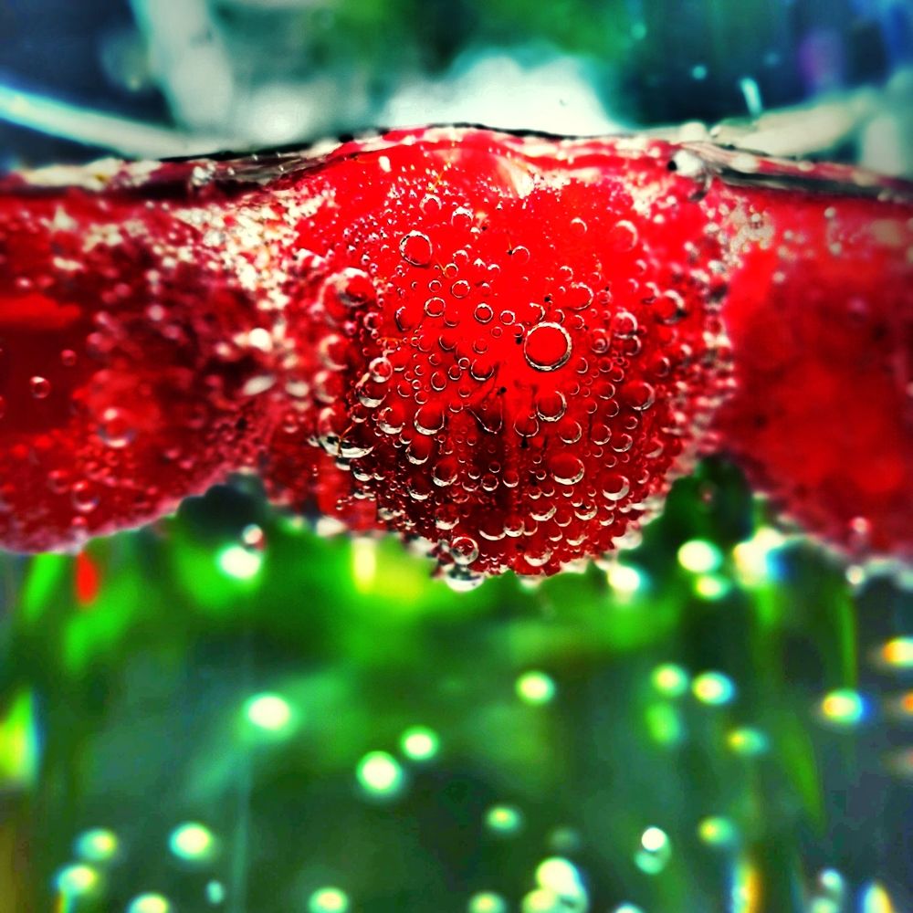 Photograph by Nikolett Mengyi