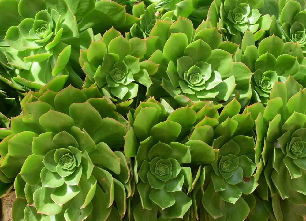 Photograph by Marina Eremin