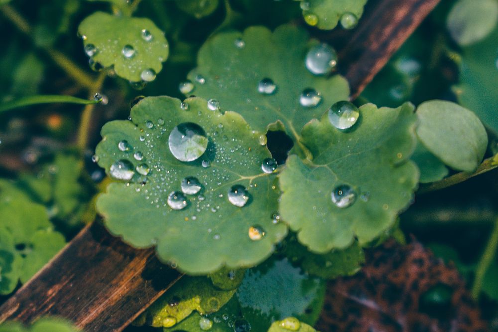 Photograph by Ольга