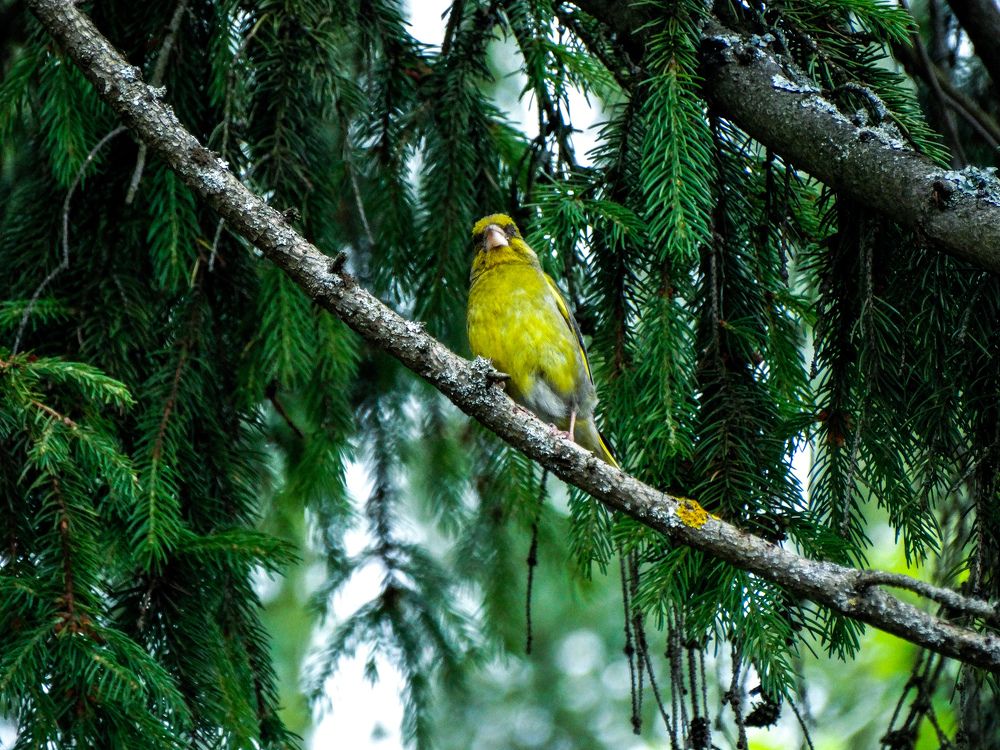 Photograph by Ольга