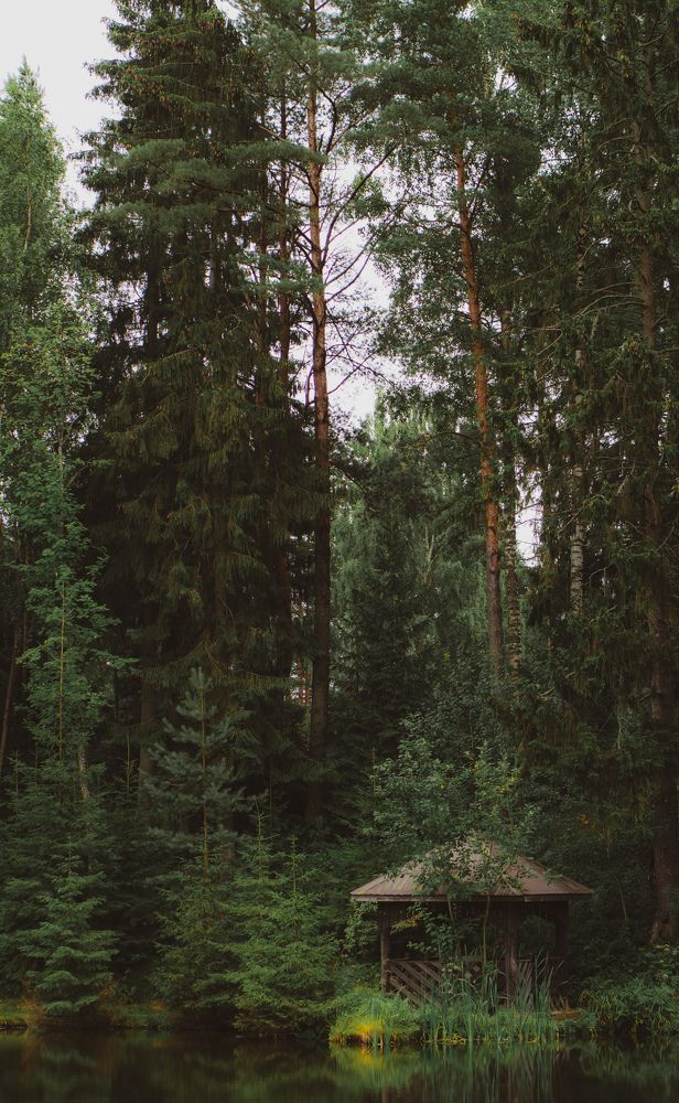 Photograph by Ольга Моисеева