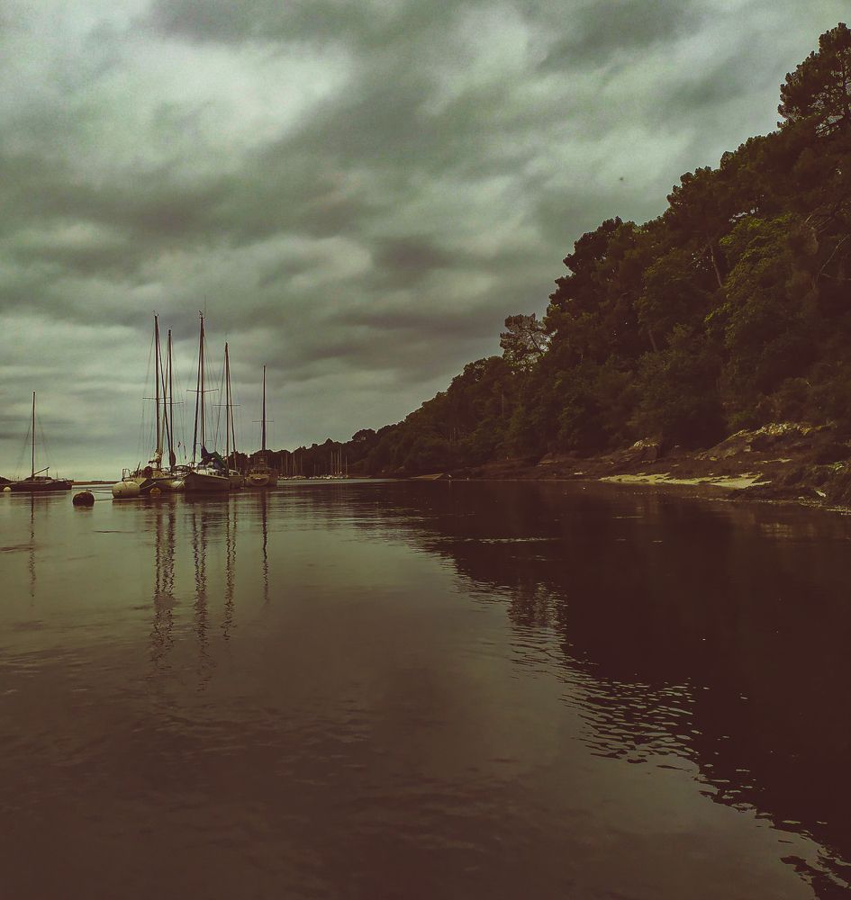 Фотография автора Elena Martynova-Rybczynski