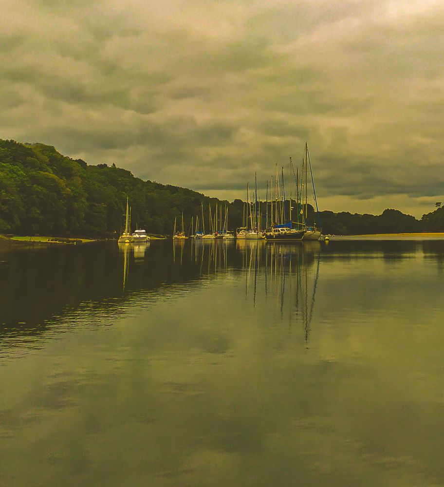 Фотография автора Elena Martynova-Rybczynski