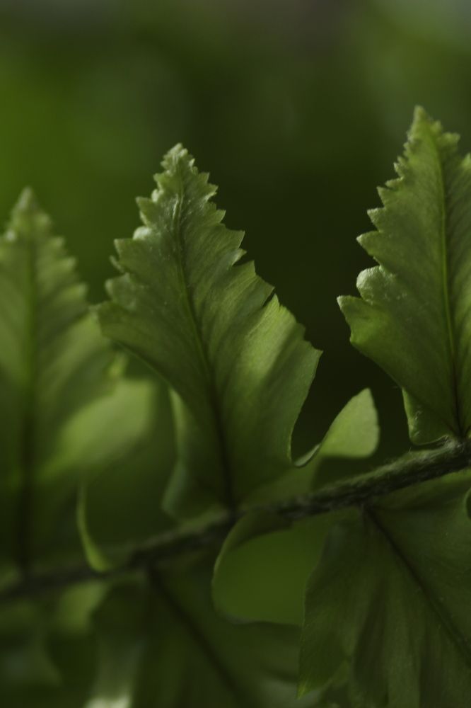 Photograph by Алексей Горин