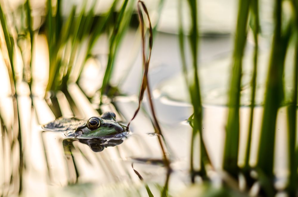 Photograph by Татьяна Бегун
