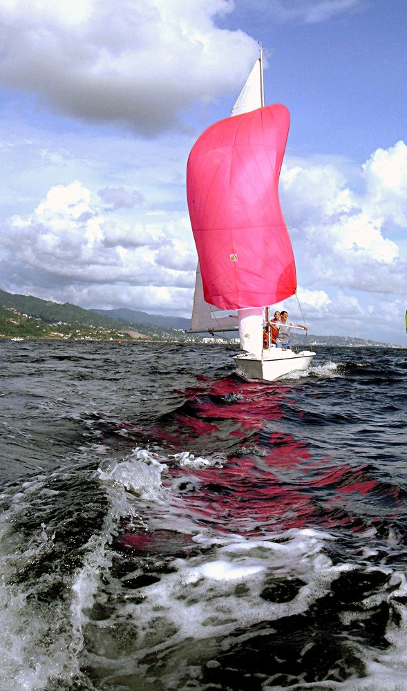 Photograph by Hilary McShine