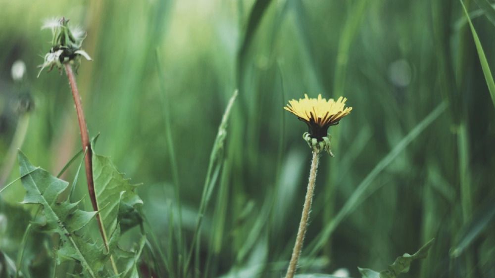 Photograph by Алёна Бондаренко