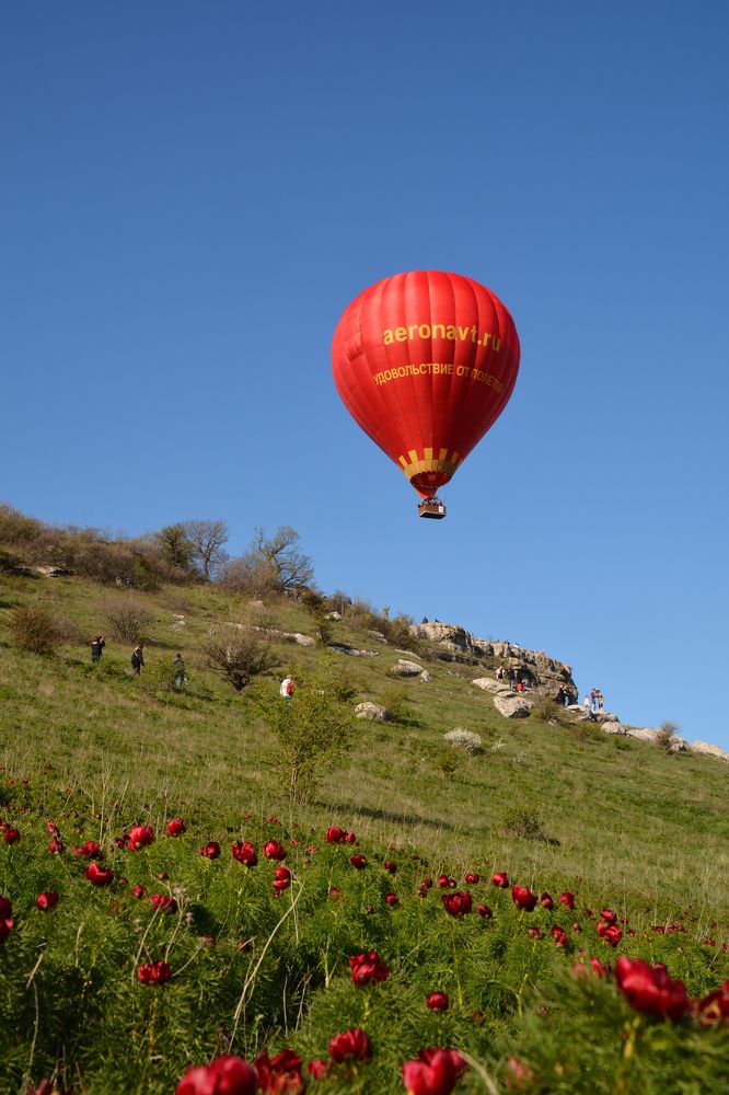 Photograph by Екатерина Крючкова
