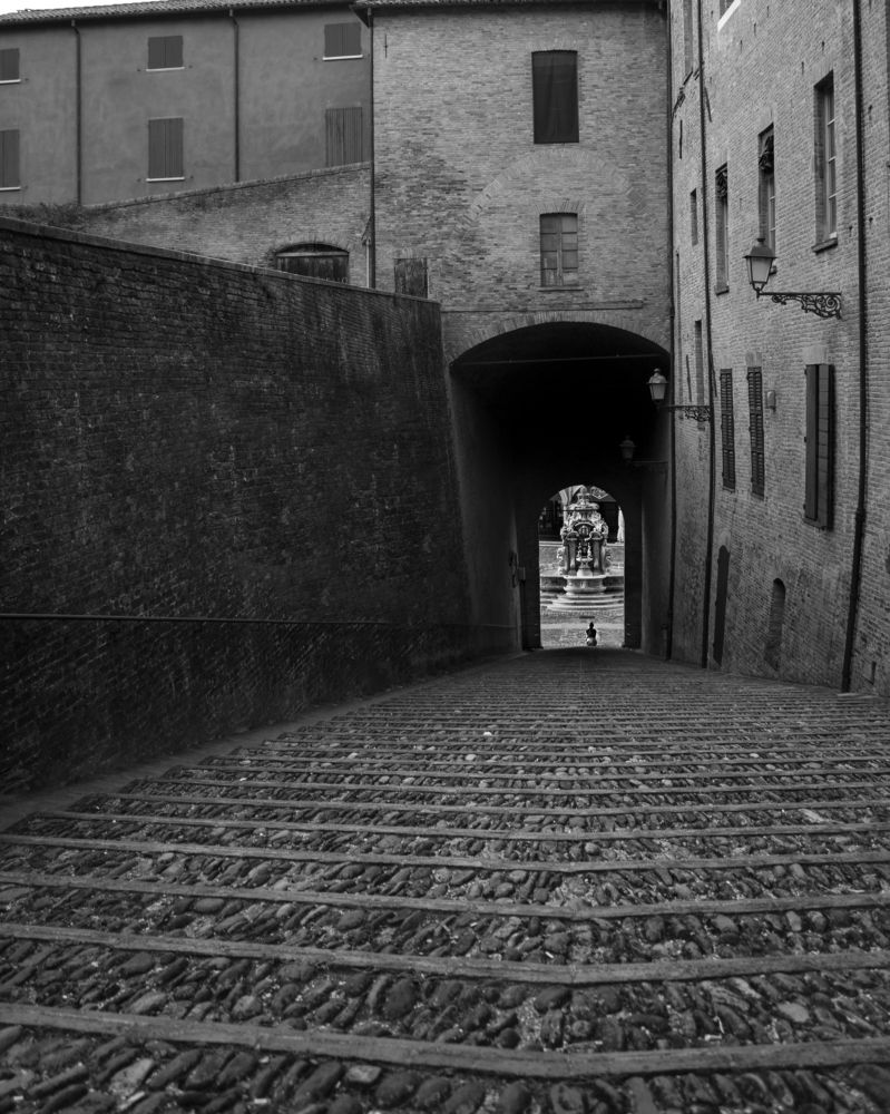 Photograph by Stefano