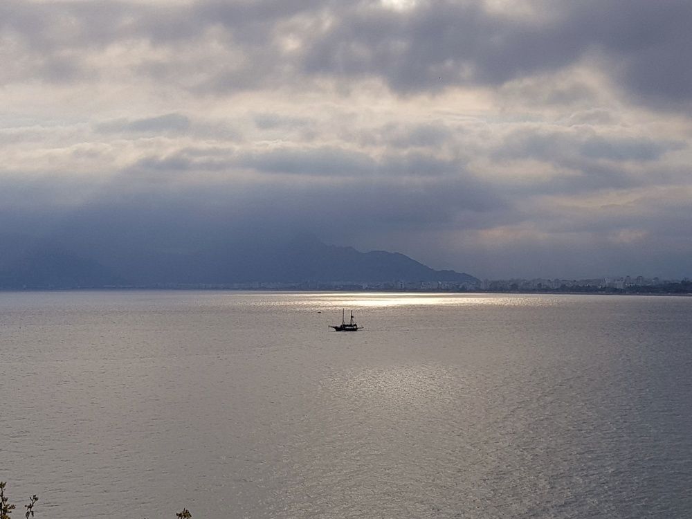 Photograph by Farah Ali