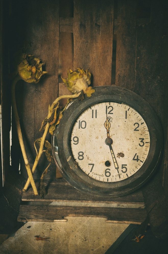 Photograph by Ольга Мальцева