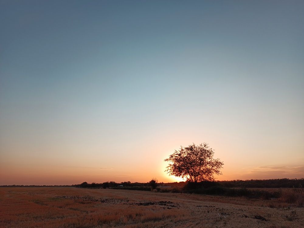 Photograph by Алёна Бондаренко
