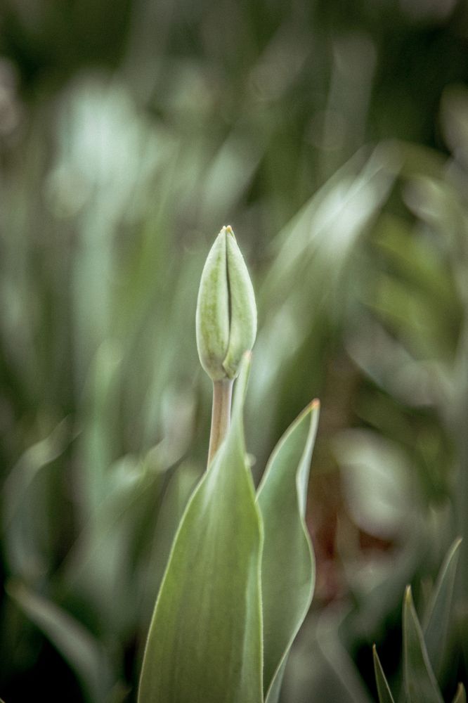 Photograph by Инна Тычная