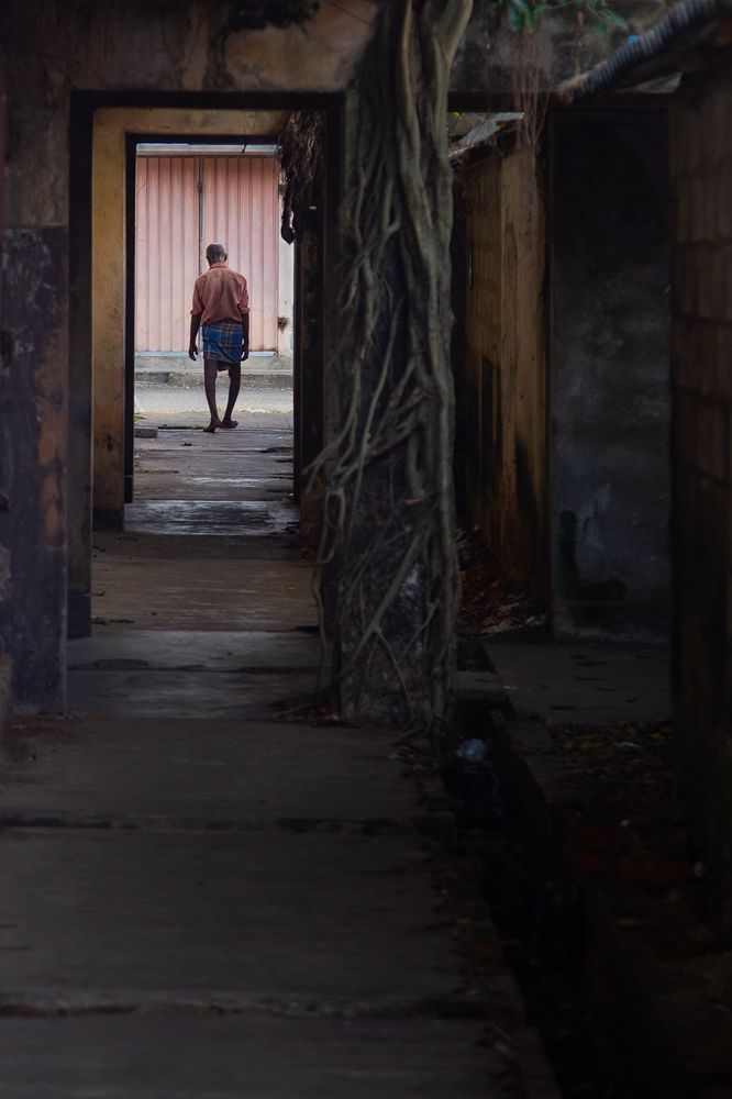 Фотография автора Pramuditha De Silva Laddu Sasindu