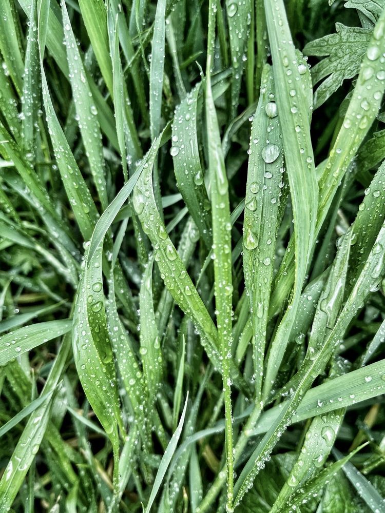 Photograph by Мария Шрейдер