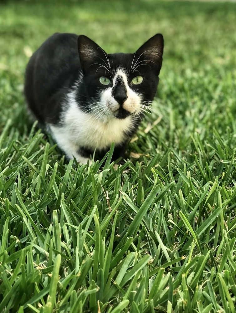 Photograph by Мария Шрейдер