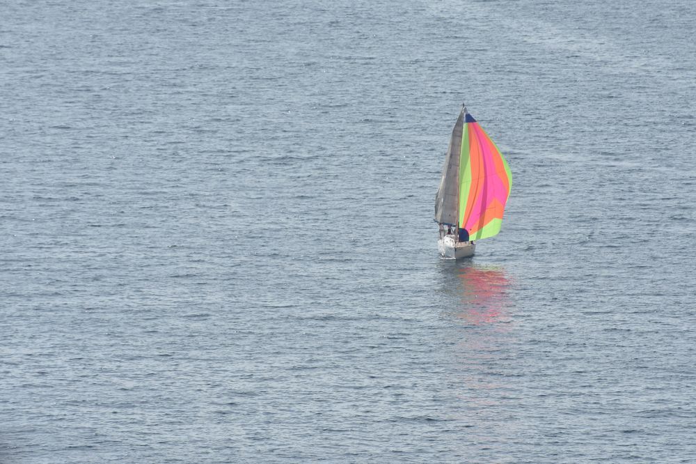 Фотография автора AYLIN EROZCAN