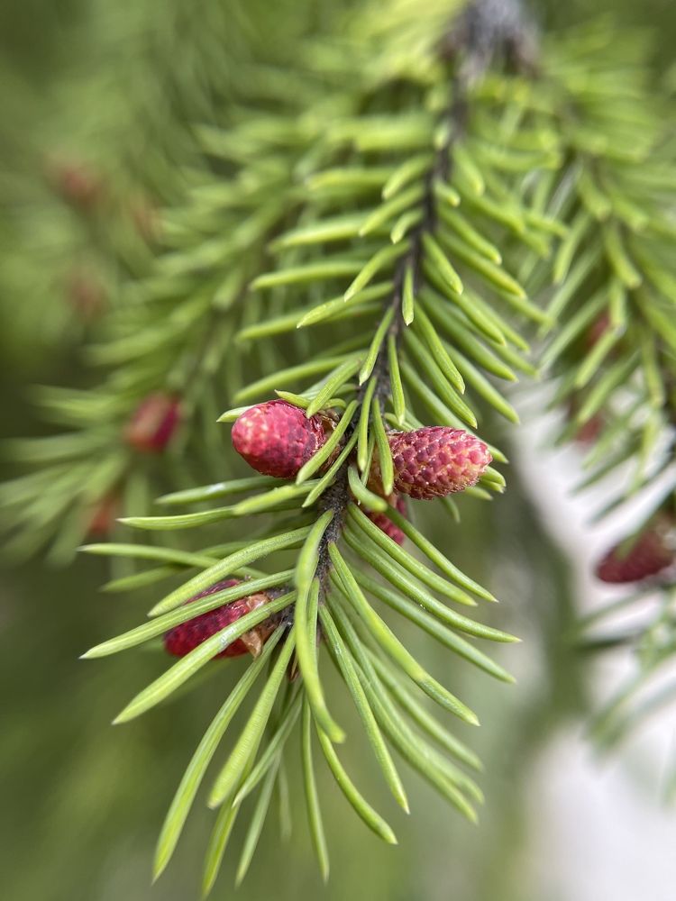 Photograph by Мария Шрейдер