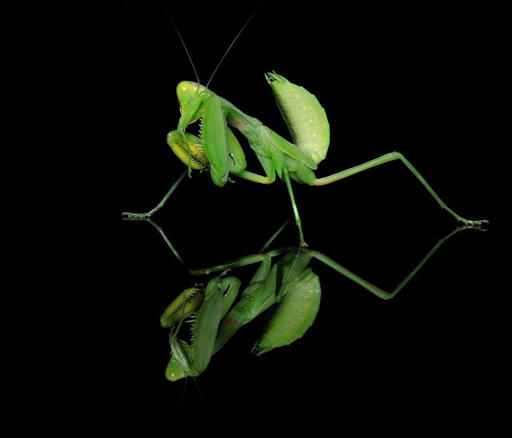 Photograph by Amin Ghaffarian