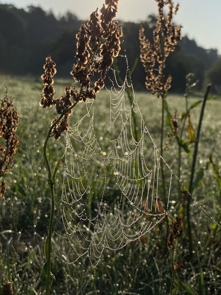 Photograph by Оксана Сидоренко
