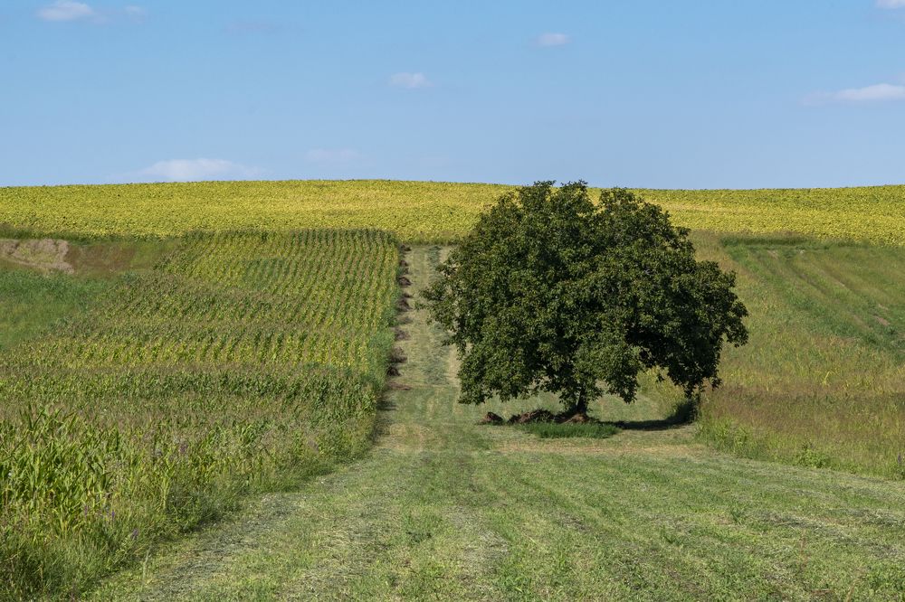 Photograph by FLORINDA LOREDANA CIURARU