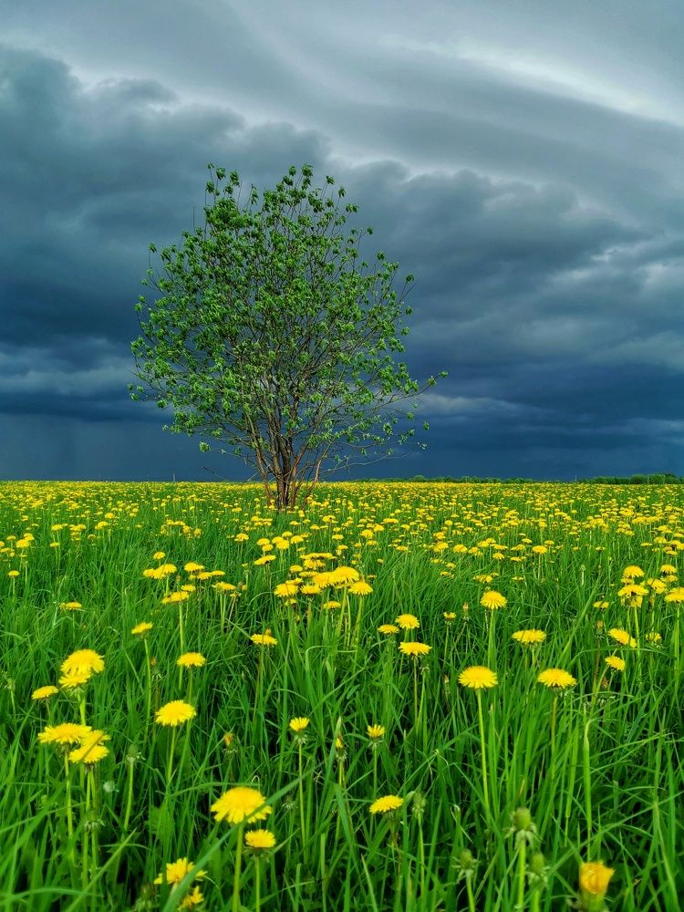 Фотография автора Андрей Шестаков