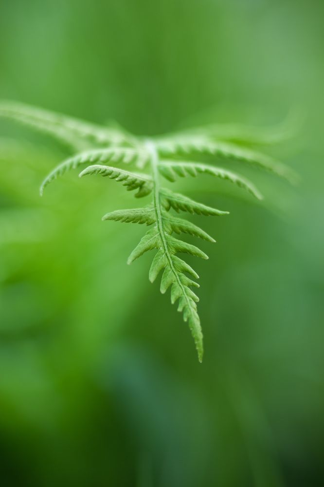 Фотография автора Рохмистрова Мария