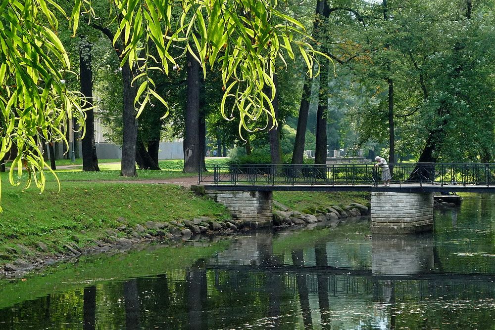 Photograph by Людмила Викулова