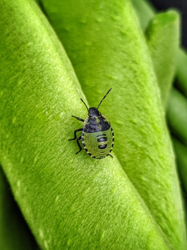 Photograph by Наталья Егорова