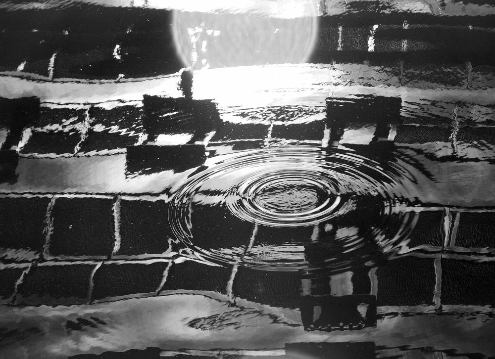 Photograph by Елена Харитонова