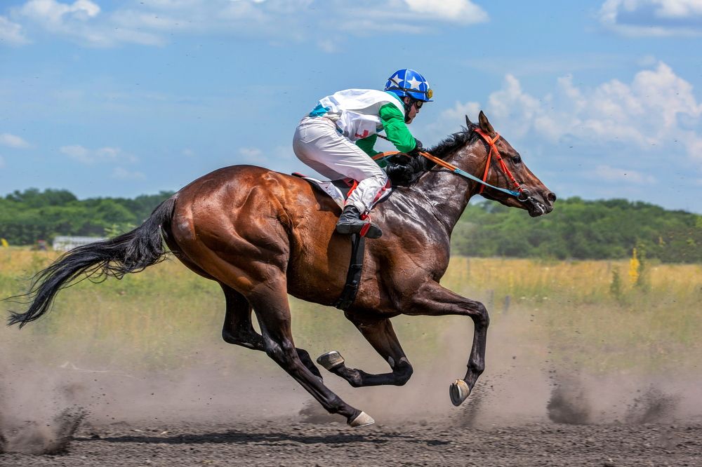 Photograph by Коркин Вадим