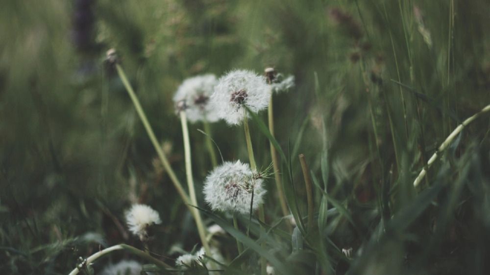 Photograph by Алёна Бондаренко