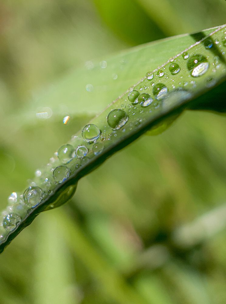 Фотография автора Nedai Eftekhari