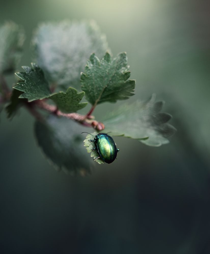 Photograph by Мозжухин Максим