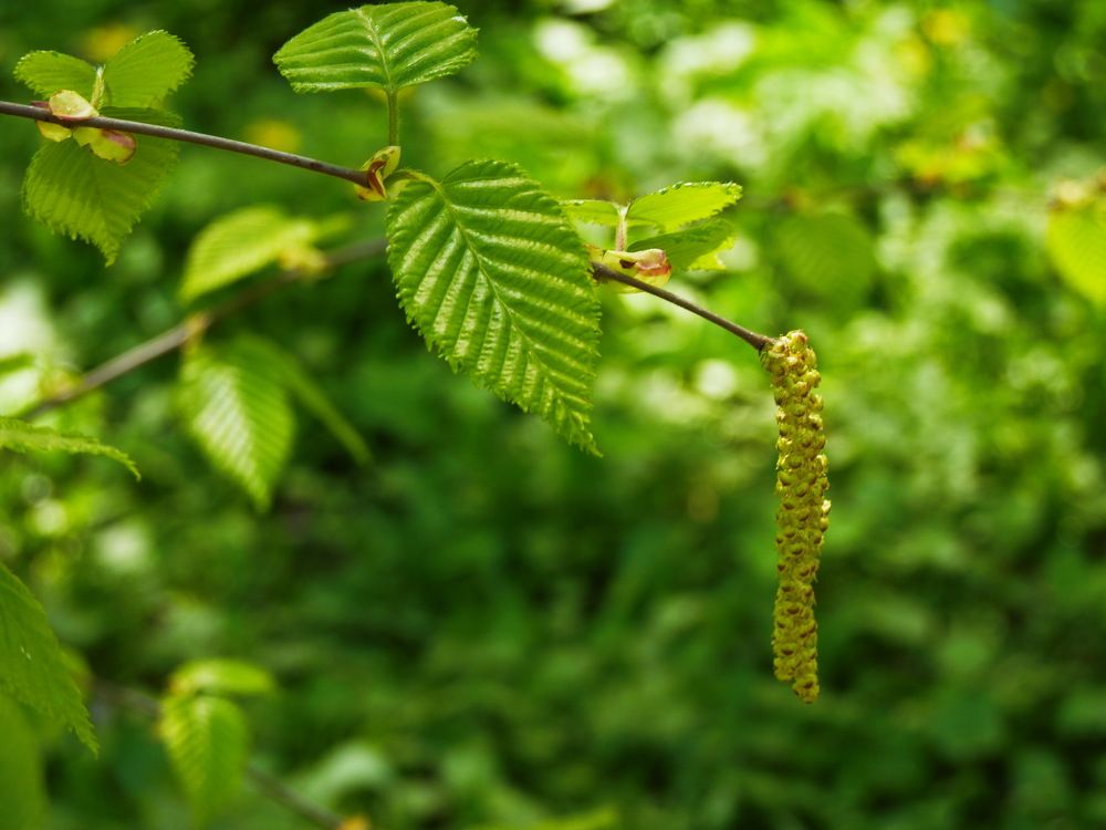 Photograph by Galina Leskova