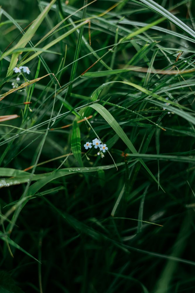 Photograph by Анна Блифернец