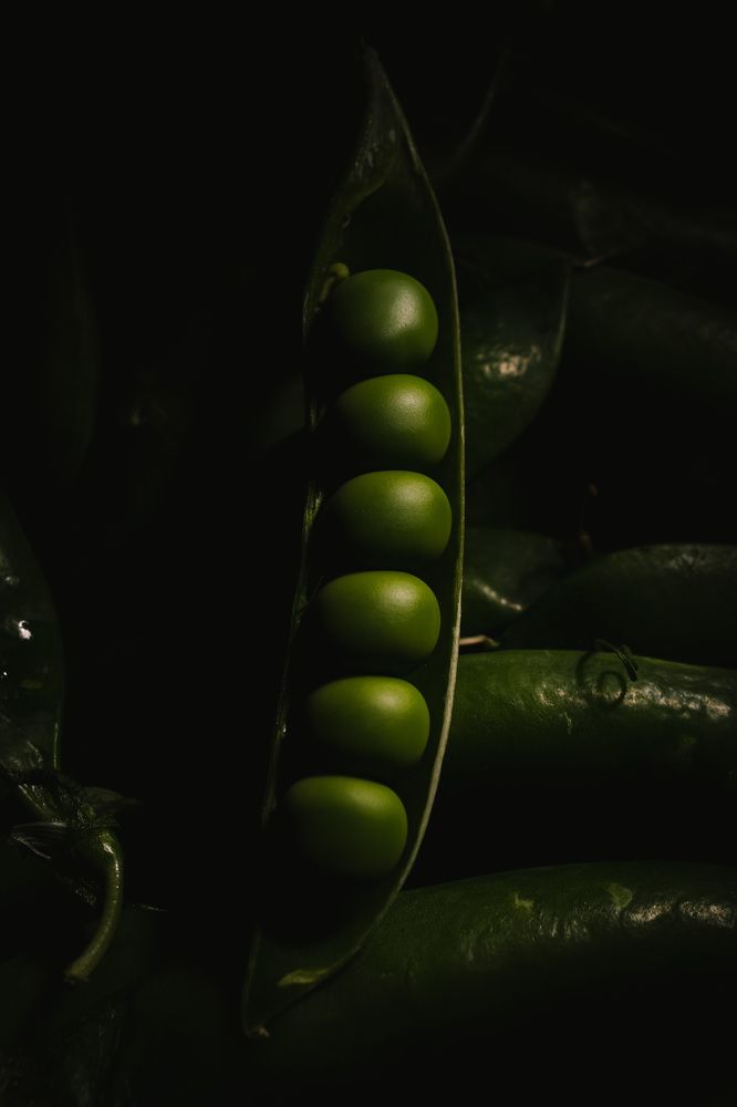 Photograph by Александр Поданев