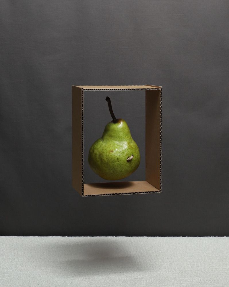 Photograph by Соколова Ирина