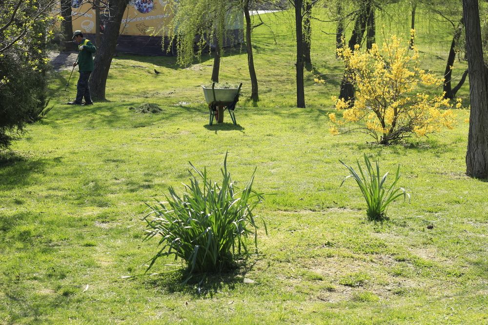 Photograph by Елена Титова