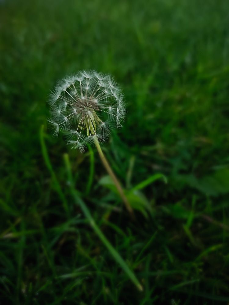 Photograph by Jear Cautivar