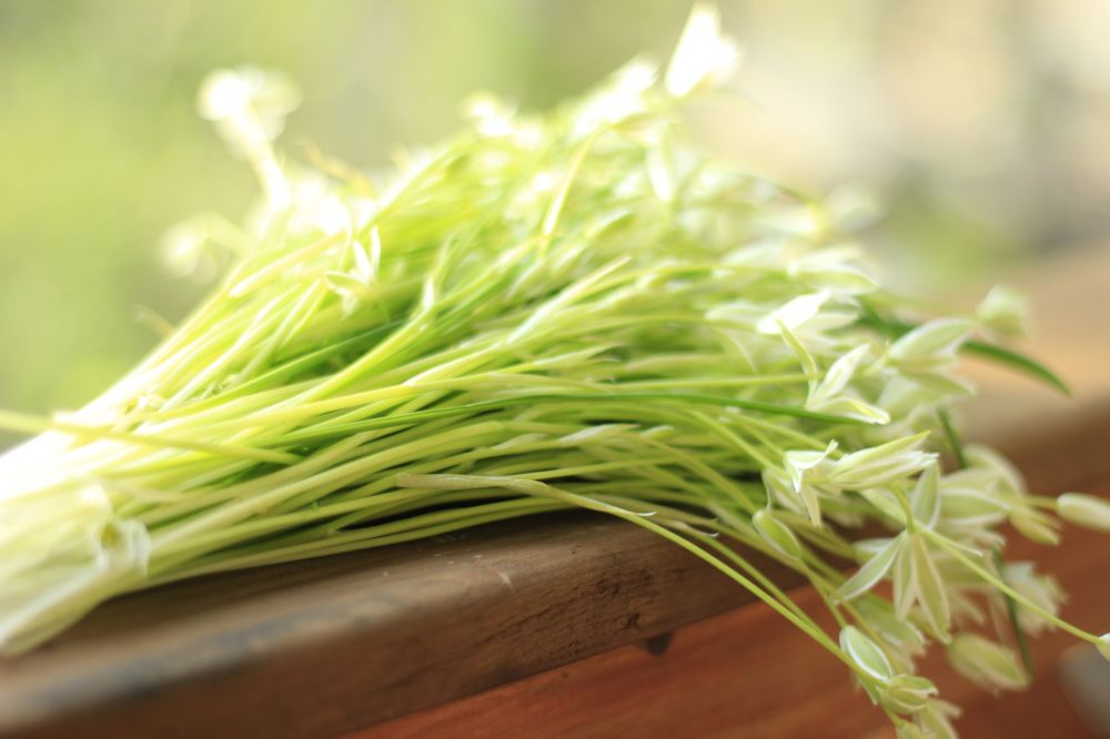 Photograph by Елена Титова