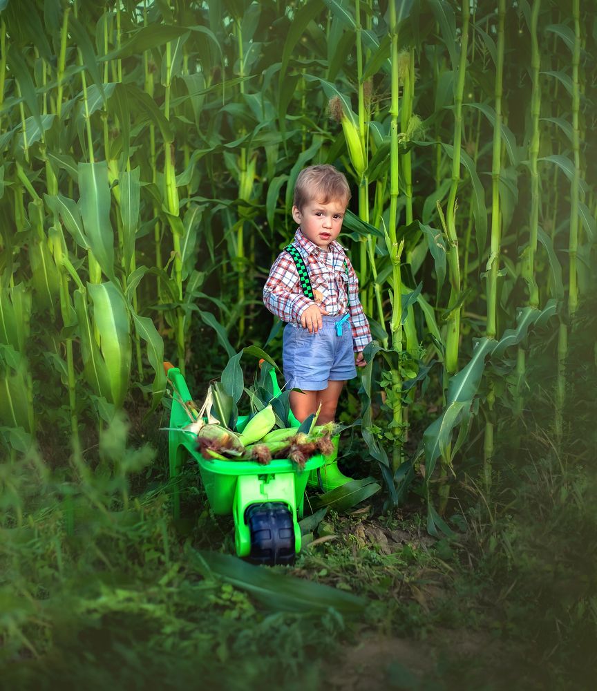 Фотография автора Юлия Плешакова