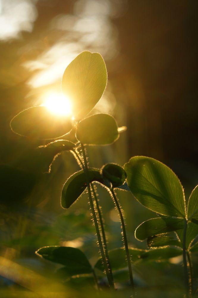 Photograph by Елена Рябцева