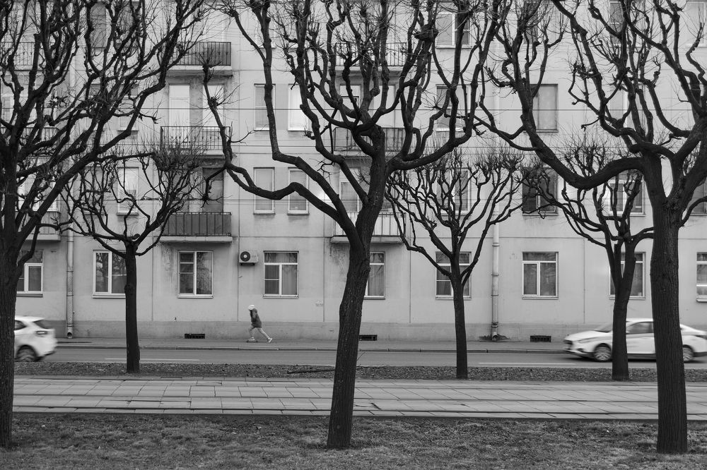 Photograph by Timokha