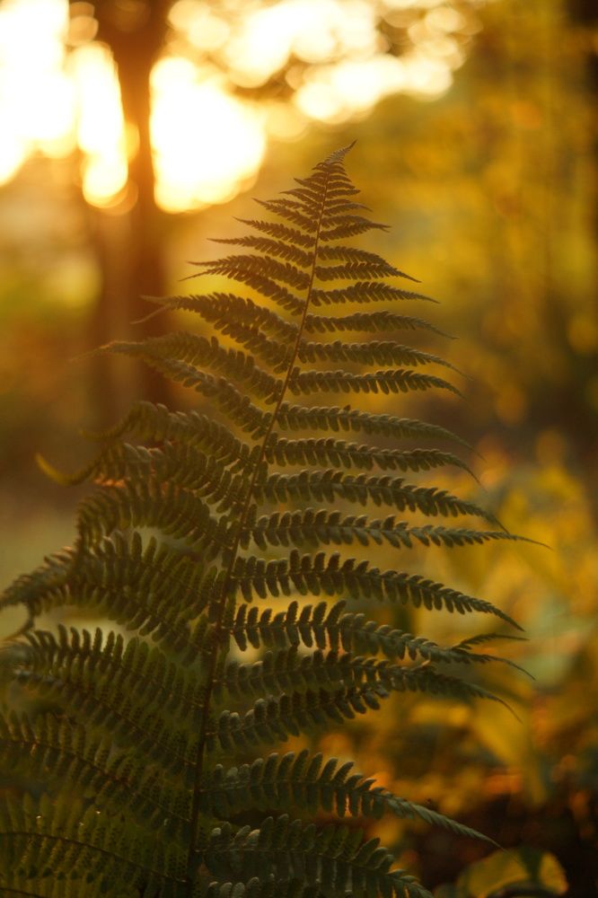 Photograph by Елена Рябцева